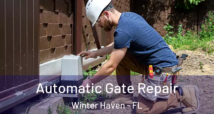  Automatic Gate Repair Winter Haven - FL