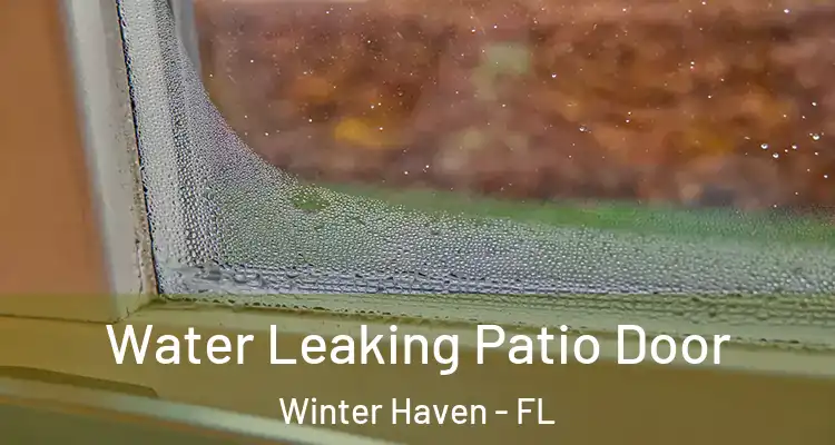 Water Leaking Patio Door Winter Haven - FL
